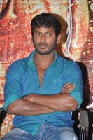 Vishal Gallery
